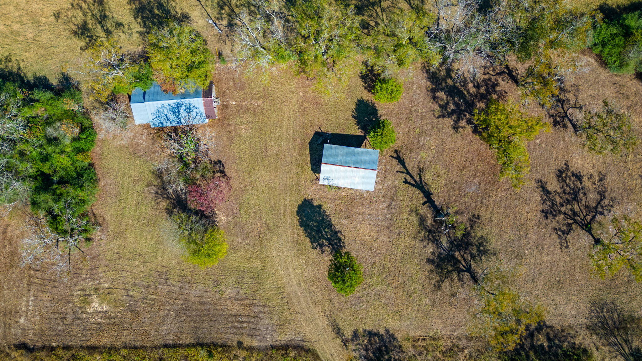 1339 Woods Road Samson, FL 36477 - Photo 6 of 10 an aerial view of a house with a yard