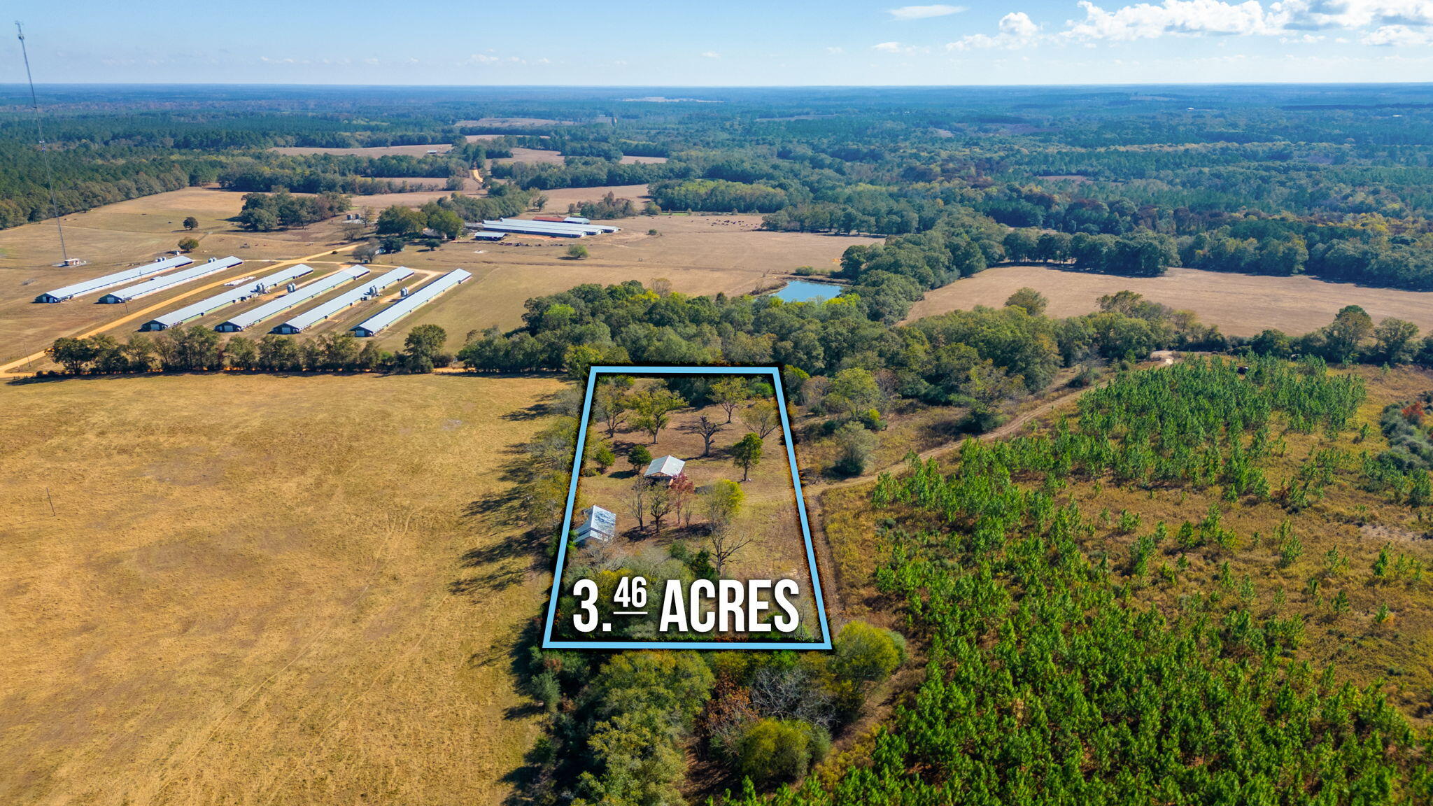 1339 Woods Road Samson, FL 36477 - Photo 10 of 10 a view of a city