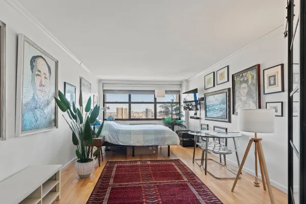 a living room with furniture and a potted plant