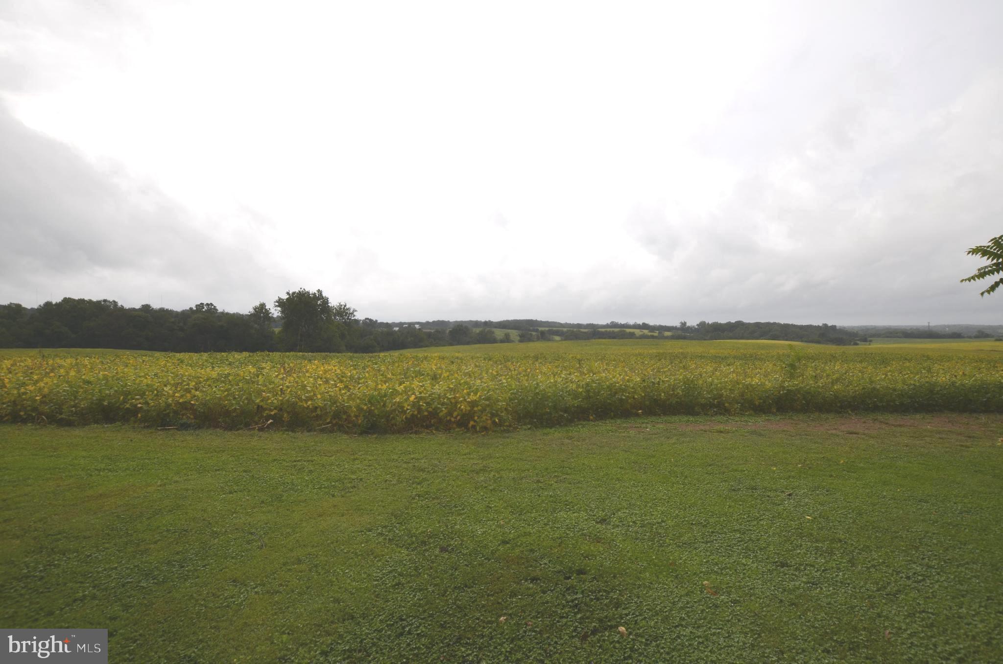15320 Schaeffer Road Boyds, MD 20841 - Photo 34 of 48
