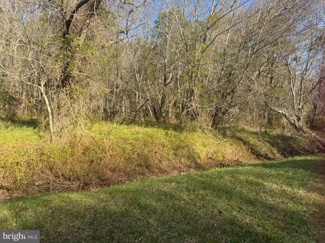 a view of outdoor space and yard