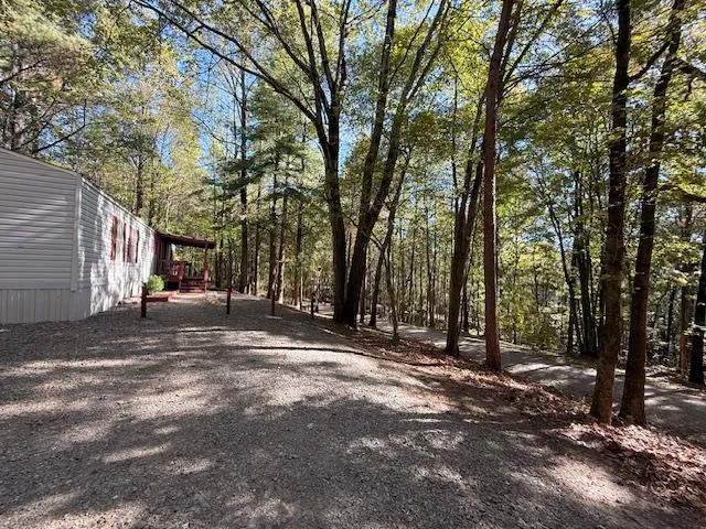 a view of road and trees