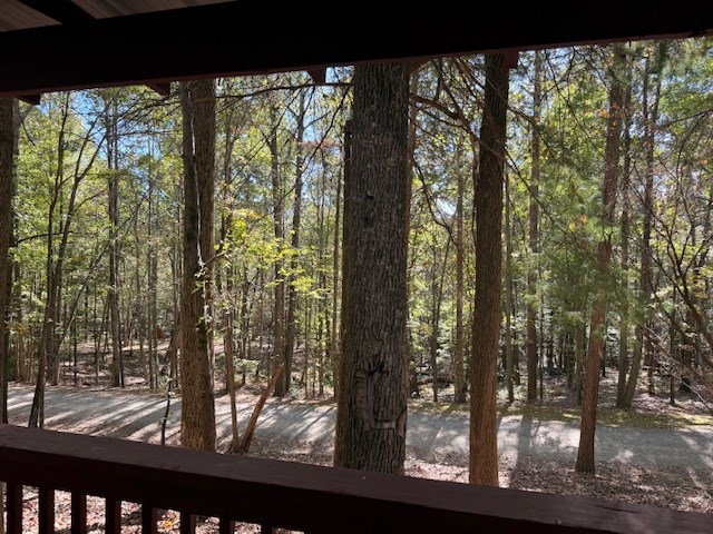 193 Mt Pisgah Drive Ellijay, GA 30540 - Photo 6 of 13 a view of backyard from a window