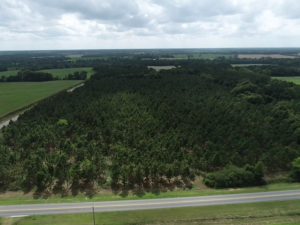 75/ Nuclear Plant Road Columbia, AL 36319 - Photo 31 of 34