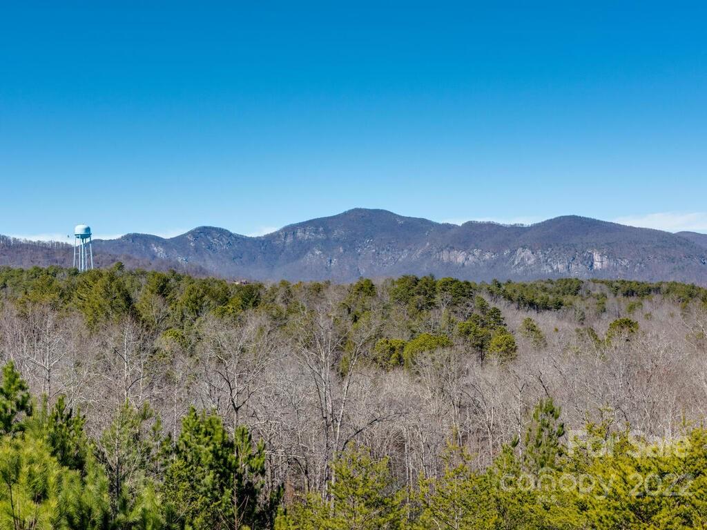206 Legend Dr Mill Spring, Unit 8 Mill Spring, NC 28756 - Photo 11 of 47 a view of a lush green outdoor space with a swimming pool and valleys in the background