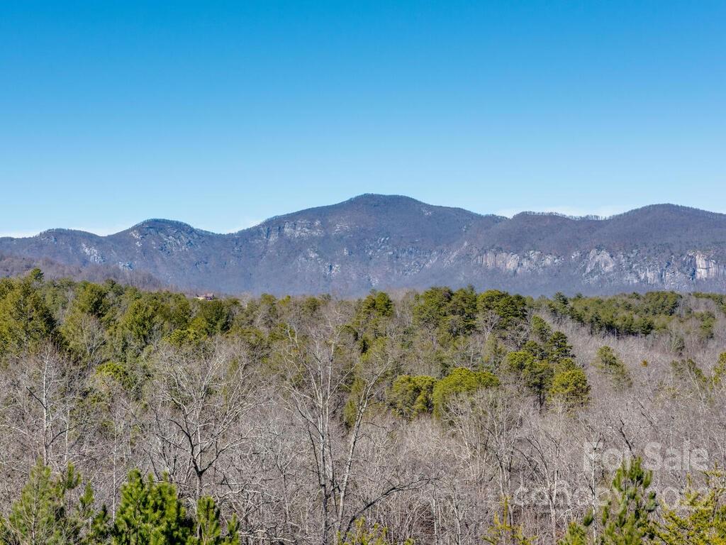206 Legend Dr Mill Spring, Unit 8 Mill Spring, NC 28756 - Photo 4 of 47 a view of a lush green field with mountains in the background