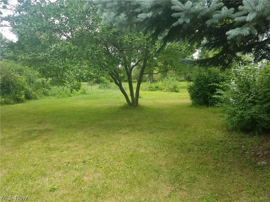 8628 Oberlin Road Elyria, OH 44035 - Photo 14 of 18 Gallery Image 14