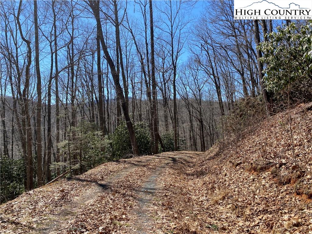 Lot 329 Twin Rivers Drive Boone, NC 28607 - Photo 13 of 49 Gallery Image 13
