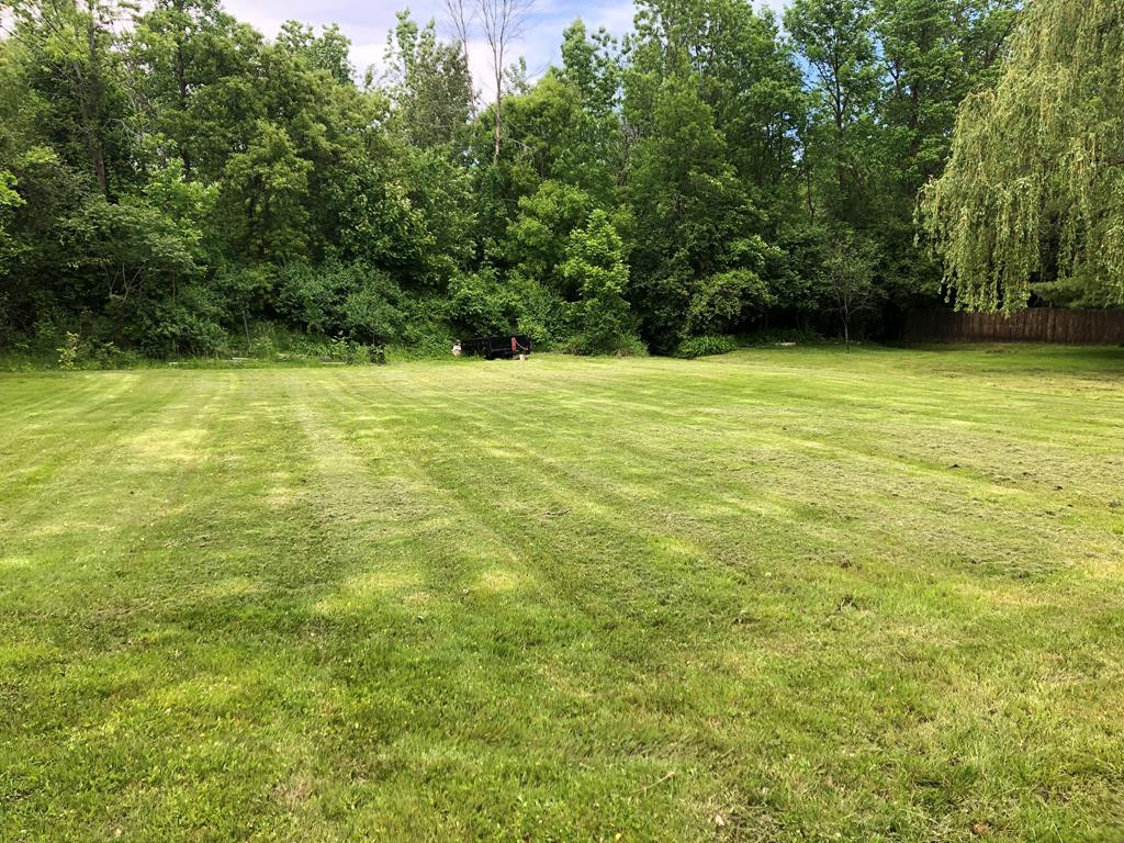 806 Bear Swamp Road Peru, NY 12972 - Photo 5 of 38