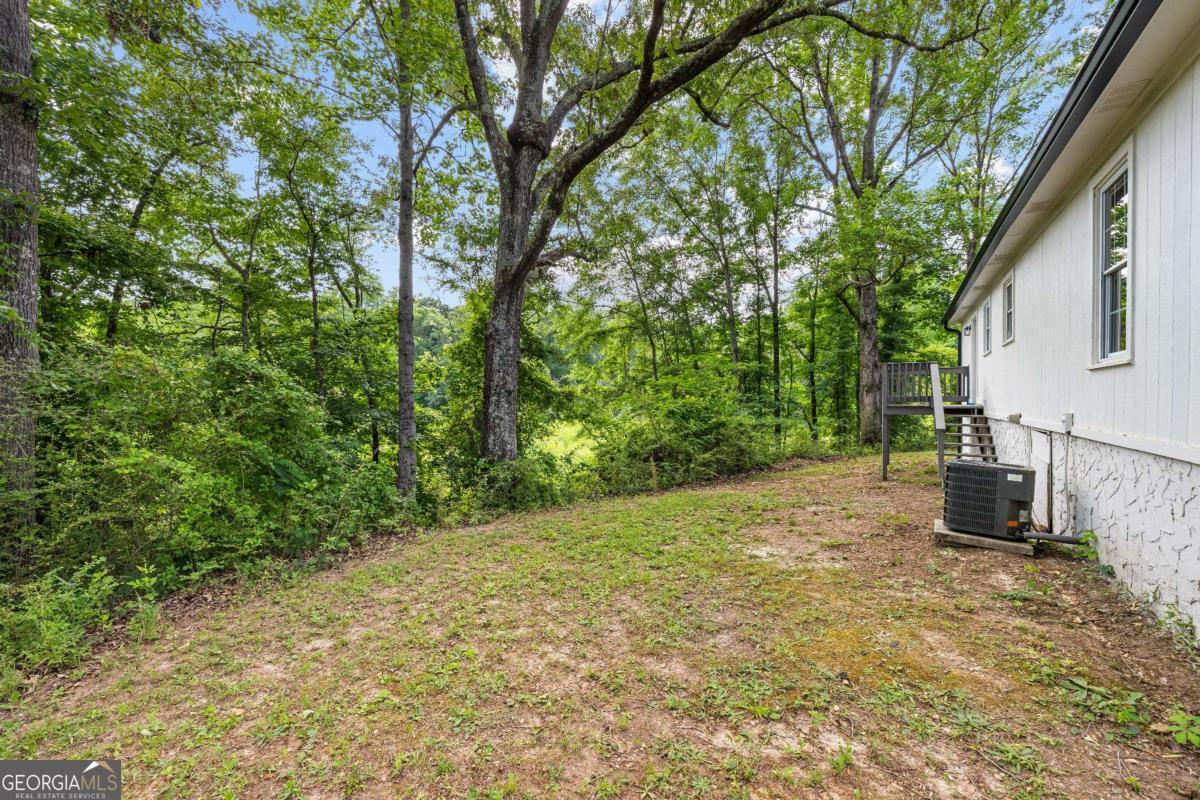 379 Wynn Road Newnan, GA 30263 - Photo 33 of 35