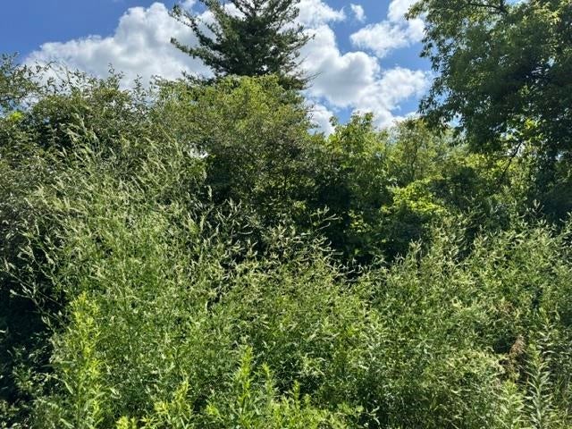 2179 Conrad Road Standish, MI 48658 - Photo 28 of 36 Gallery Image 28