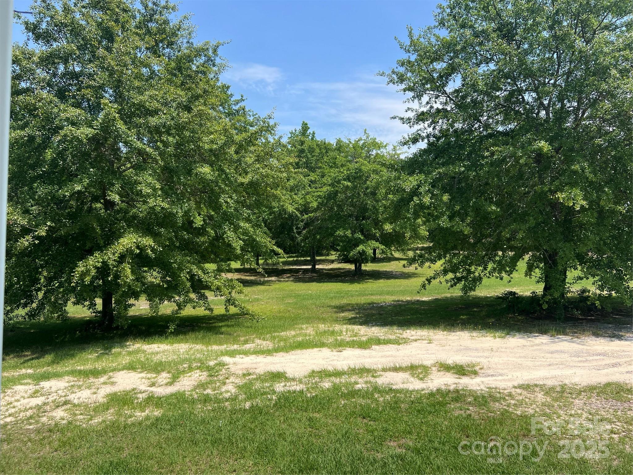 9546 Highway 265 Mount Croghan, SC 29727 - Photo 22 of 30 Gallery Image 22
