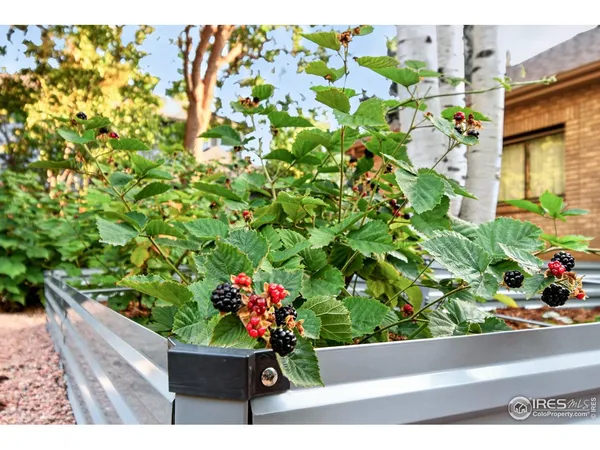 $1,097,000 | 2020 Diamond Drive, Longmont, CO 80504