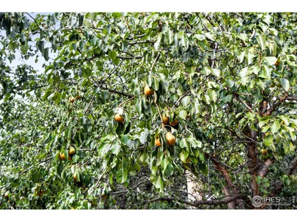 $1,125,000 | 2020 Diamond Drive, Longmont, CO 80504