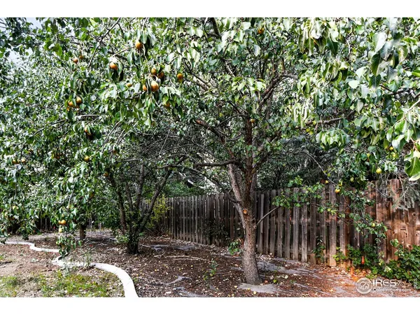 $1,097,000 | 2020 Diamond Drive, Longmont, CO 80504