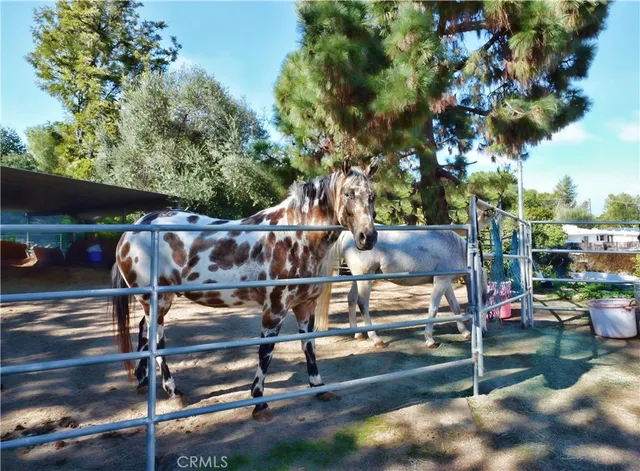 a view of outdoor space and patio