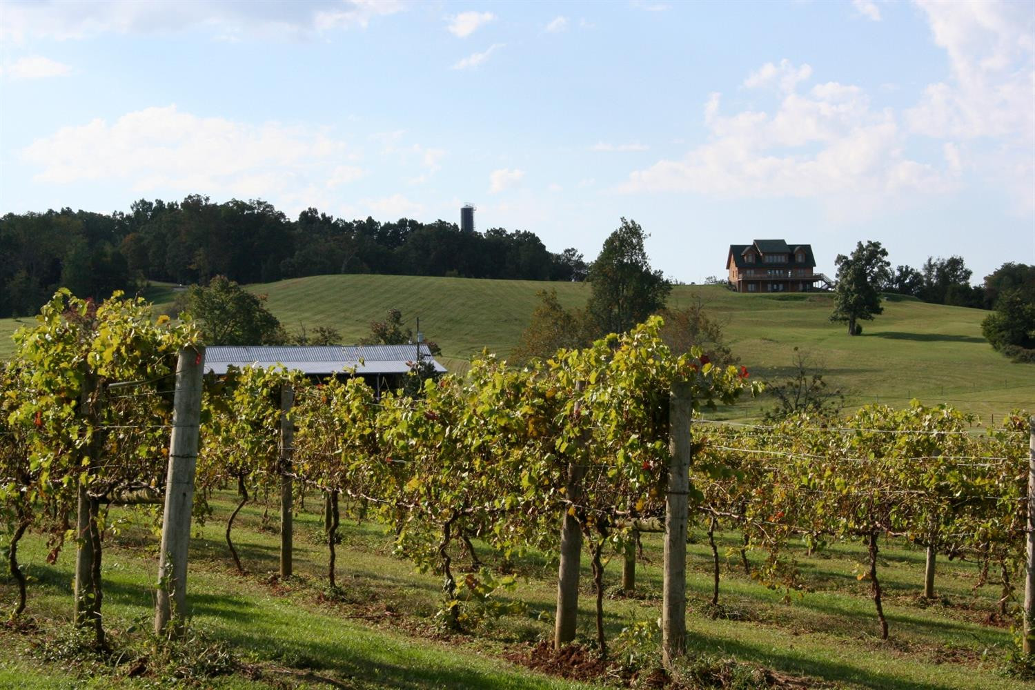 2 Lovers Leap Road Lawrenceburg, KY 40342 - Photo 10 of 11 Photo 10