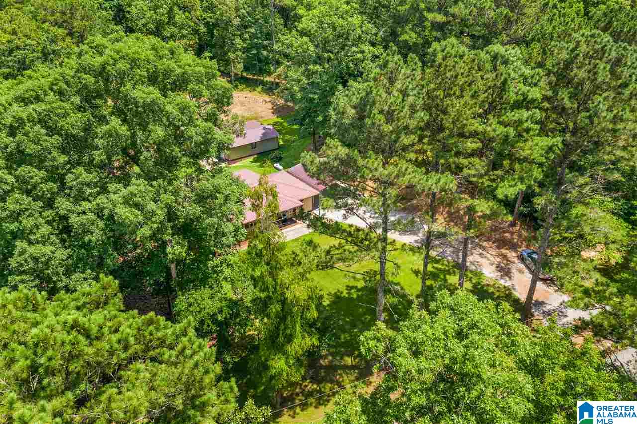 700 Deaver Walker Road Trafford, AL 35172 - Photo 29 of 32 Gallery Image 29