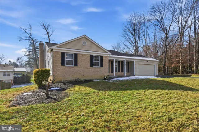a view of a house with backyard and a tree