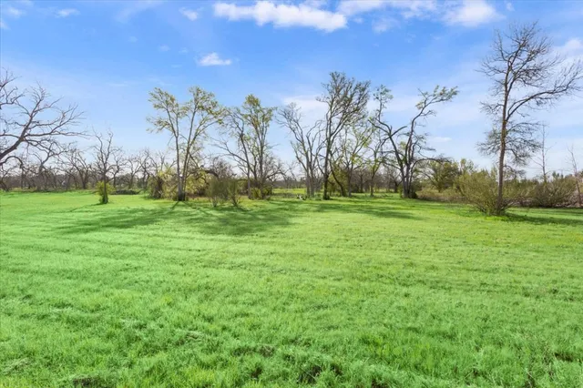 a backyard of a house with lots of green space
