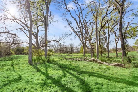 a view of yard with tree and wooden fence
