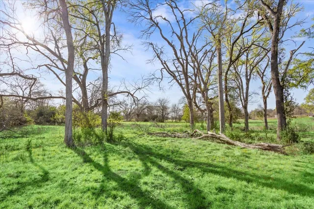 a view of yard with tree and wooden fence