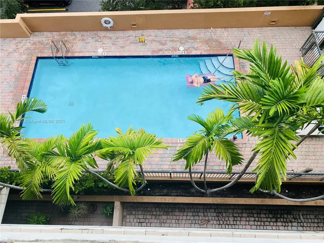 a view of a palm tree with an outdoor space