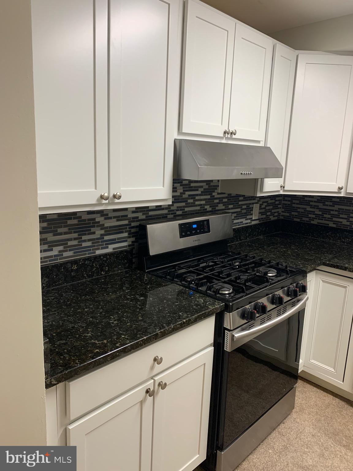 3962 Bel Pre Road, Unit 2 Silver Spring, MD 20906 - Photo 3 of 13