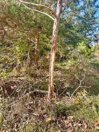 $550,000 | 2601 Pike 25, Vandalia, MO 63382