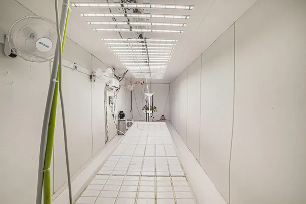 $548,500 | 8683 East Hawley Road, Hesperia, MI 49421