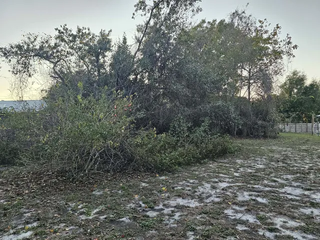 a view of a large yard with lots of green space