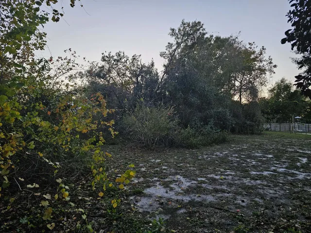 a view of an outdoor space with trees