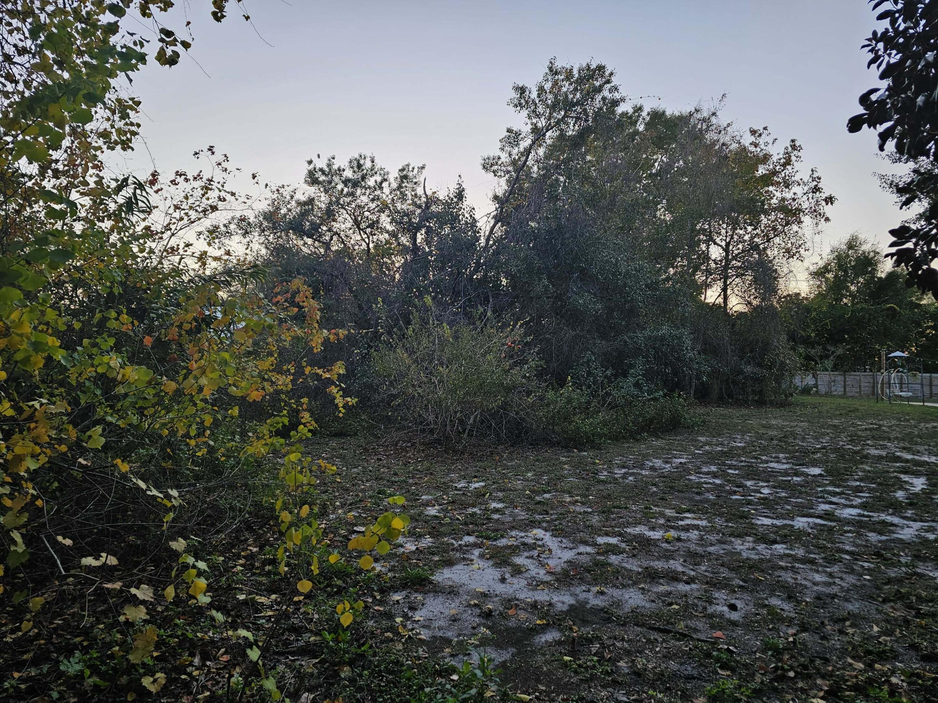 320 Main Street Destin, FL 32541 - Photo 7 of 10 a view of a large yard with lots of green space