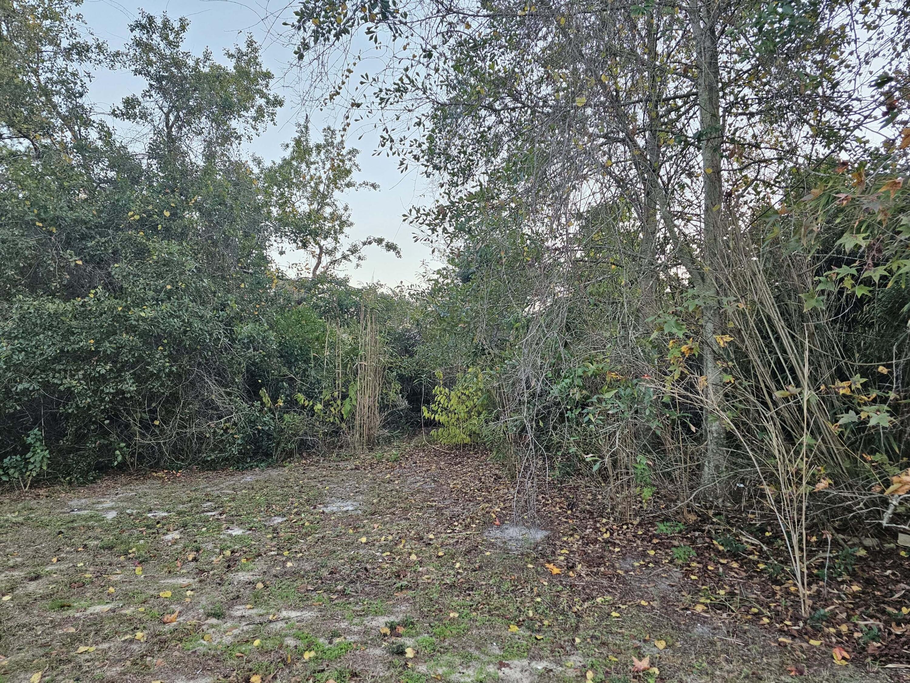 320 Main Street Destin, FL 32541 - Photo 10 of 10 a view of a forest with trees in the background