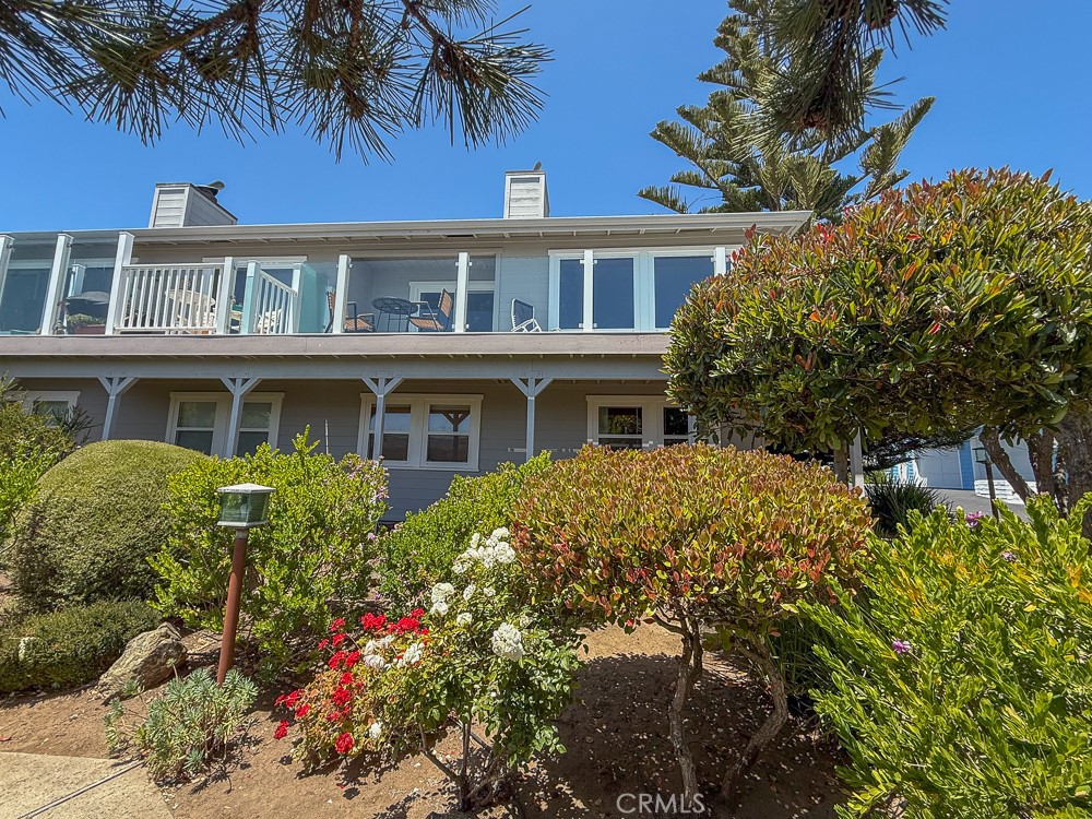 557 Lucerne Street Cayucos, CA 93430 - Photo 30 of 51 View from the yard