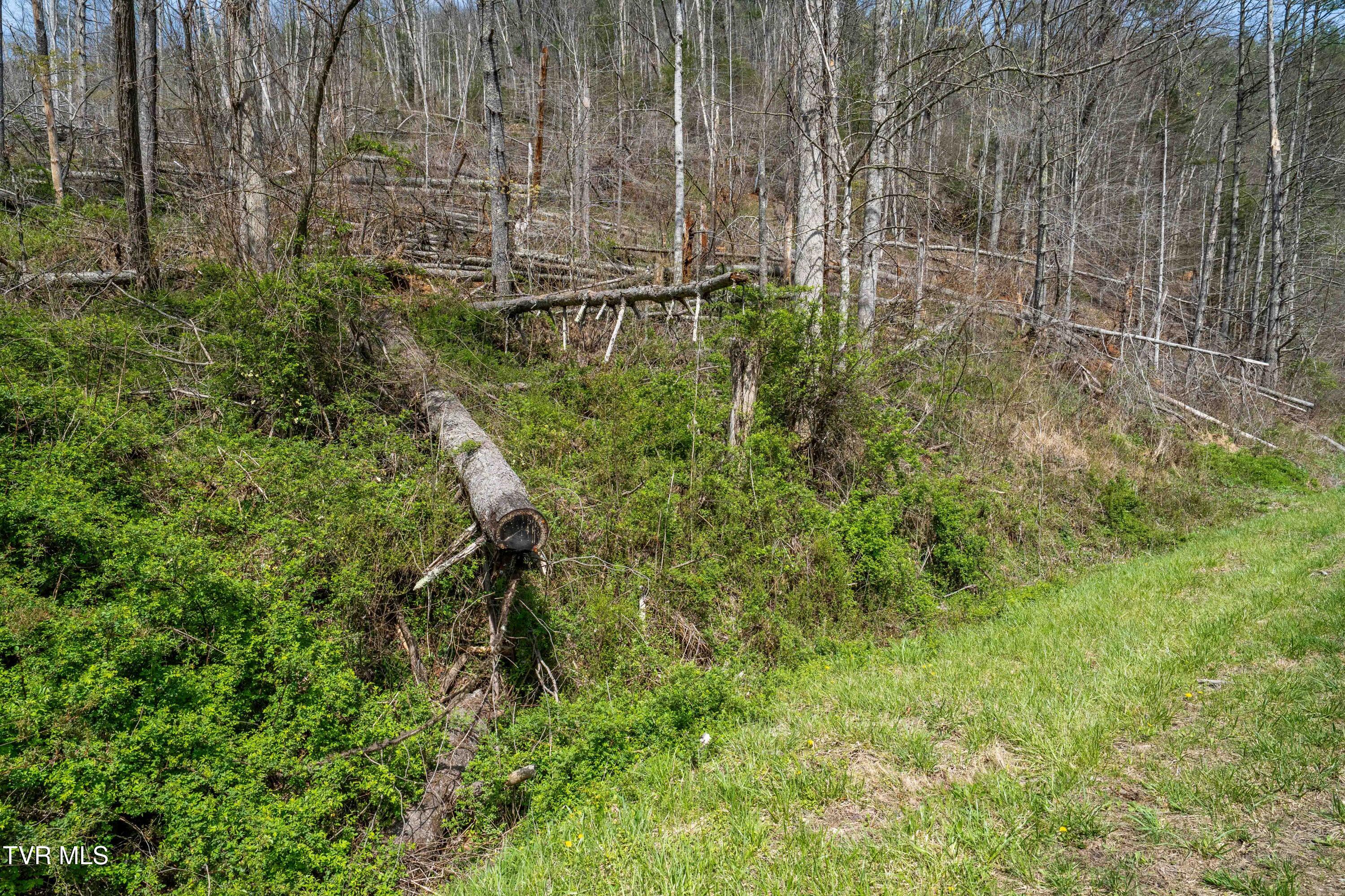 6646 Roan Creek Road Butler, TN 37640 - Photo 42 of 80 6646 Roan Creek Rd (17 of 81)