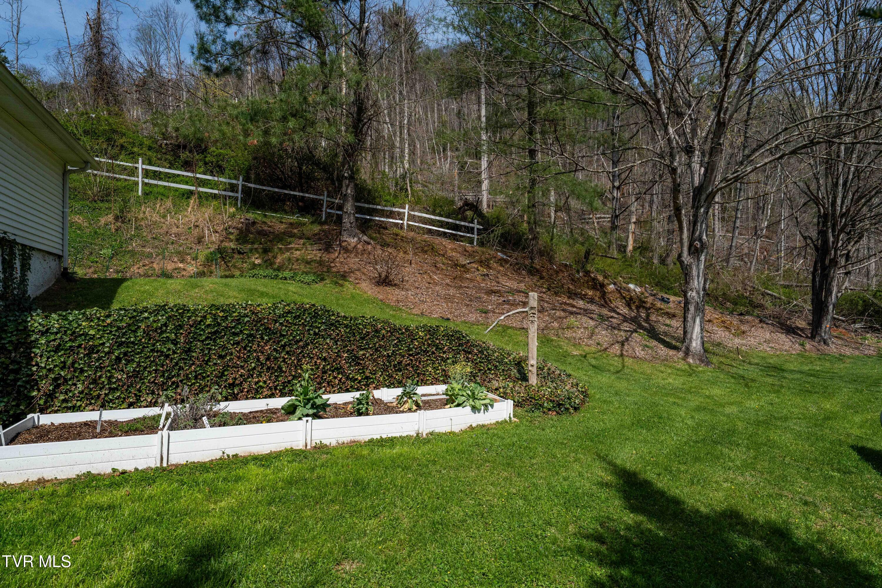 6646 Roan Creek Road Butler, TN 37640 - Photo 52 of 80 6646 Roan Creek Rd (29 of 81)