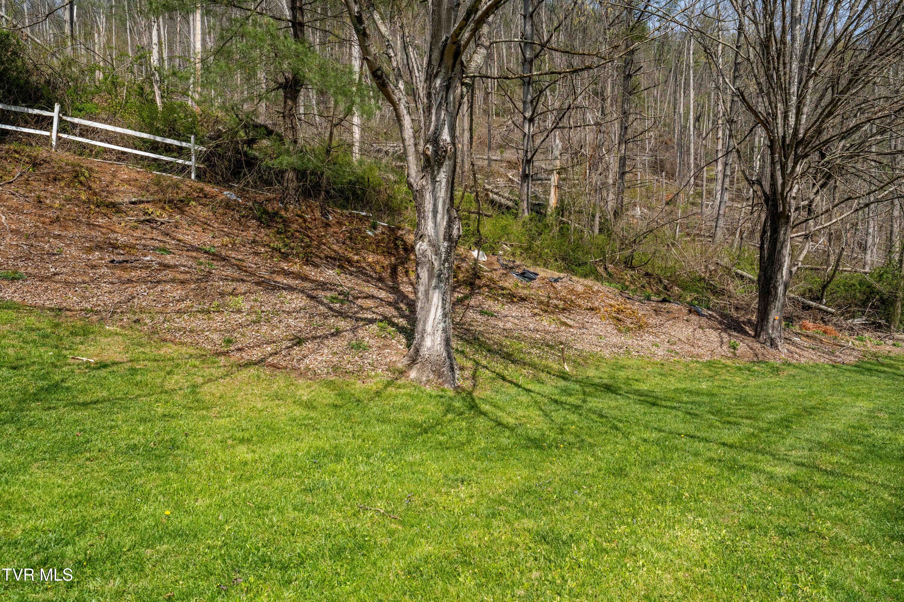 6646 Roan Creek Road Butler, TN 37640 - Photo 53 of 80 6646 Roan Creek Rd (30 of 81)