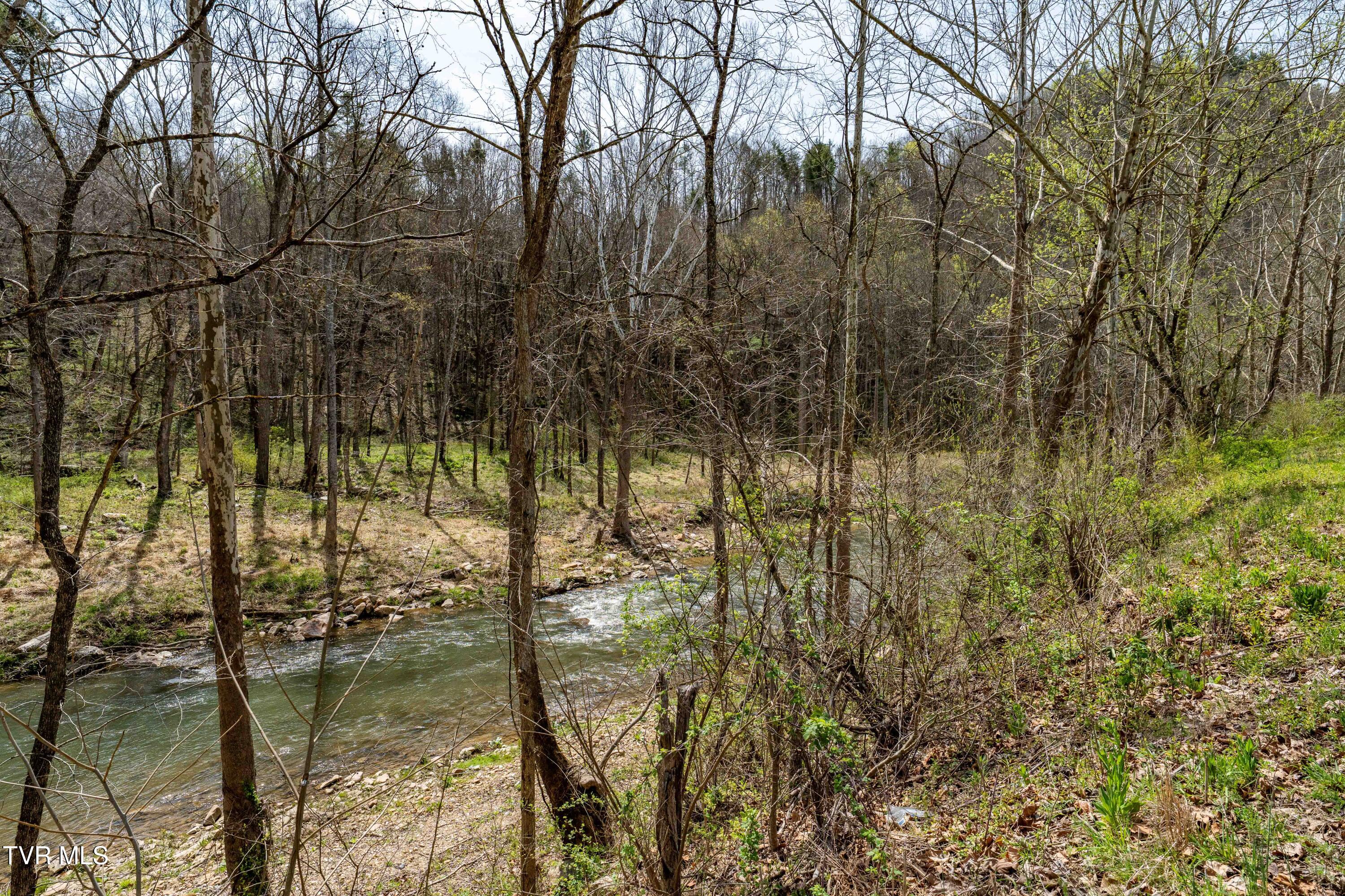 6646 Roan Creek Road Butler, TN 37640 - Photo 73 of 80 6646 Roan Creek Rd (50 of 81)