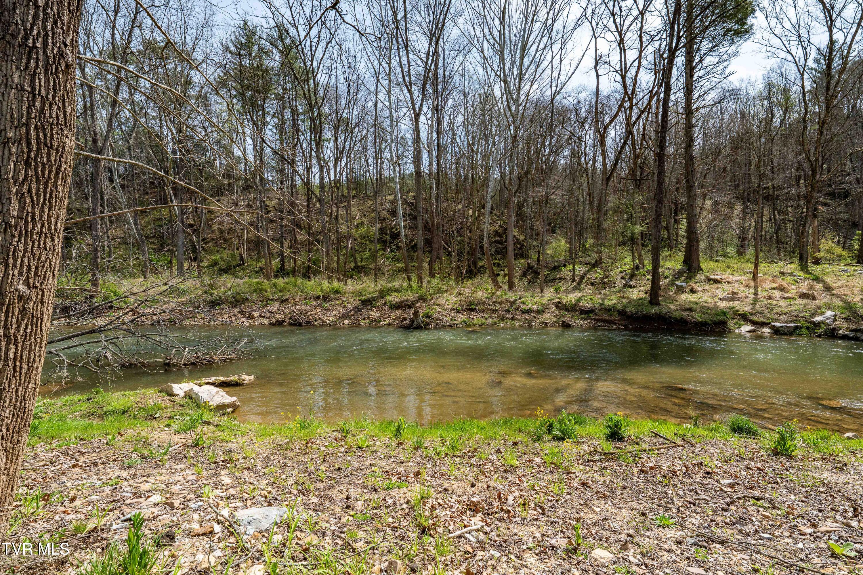 6646 Roan Creek Road Butler, TN 37640 - Photo 74 of 80 6646 Roan Creek Rd (51 of 81)