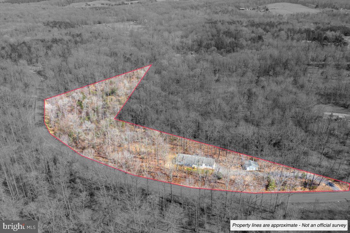 9521 Grasty Gold Mine Road Rhoadesville, VA 22542 - Photo 3 of 88