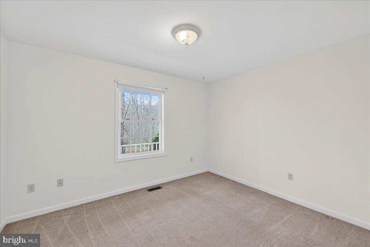 9521 Grasty Gold Mine Road Rhoadesville, VA 22542 - Photo 45 of 88