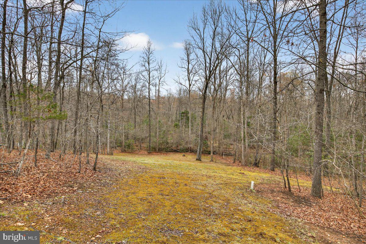 9521 Grasty Gold Mine Road Rhoadesville, VA 22542 - Photo 59 of 88