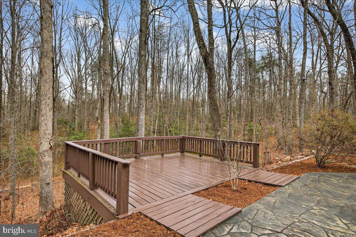 9521 Grasty Gold Mine Road Rhoadesville, VA 22542 - Photo 66 of 88