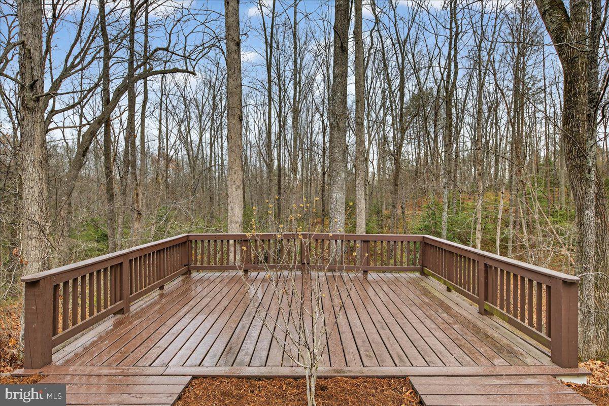 9521 Grasty Gold Mine Road Rhoadesville, VA 22542 - Photo 67 of 88