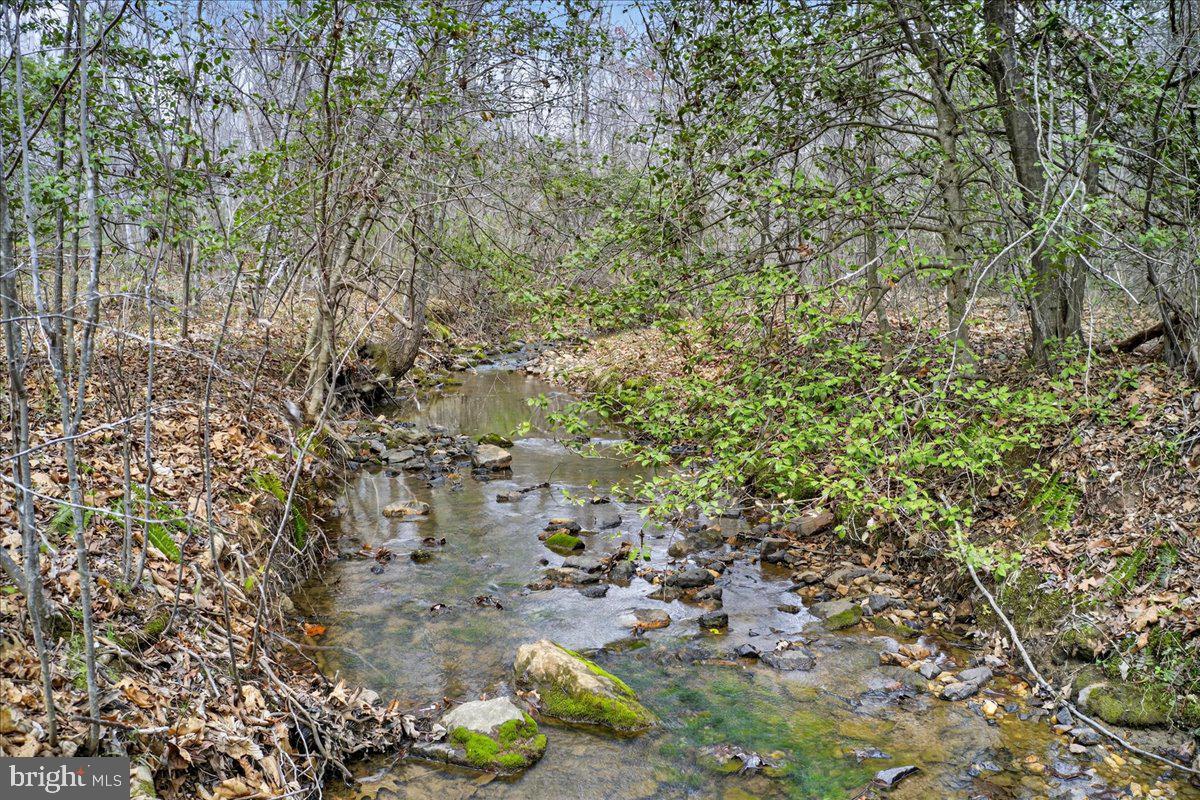 9521 Grasty Gold Mine Road Rhoadesville, VA 22542 - Photo 77 of 88