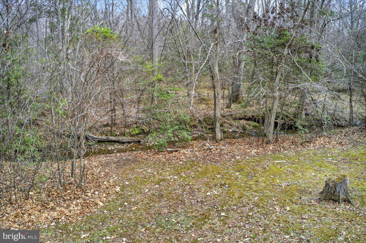 9521 Grasty Gold Mine Road Rhoadesville, VA 22542 - Photo 79 of 88