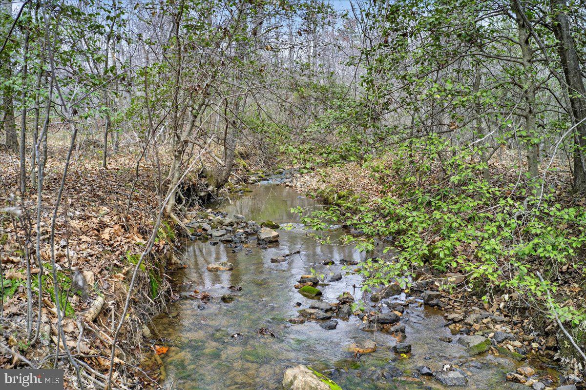 9521 Grasty Gold Mine Road Rhoadesville, VA 22542 - Photo 80 of 88