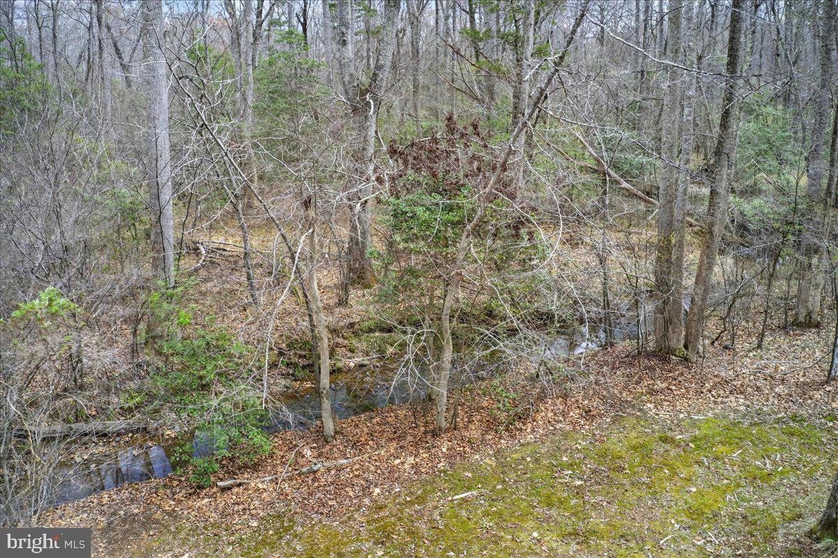 9521 Grasty Gold Mine Road Rhoadesville, VA 22542 - Photo 81 of 88