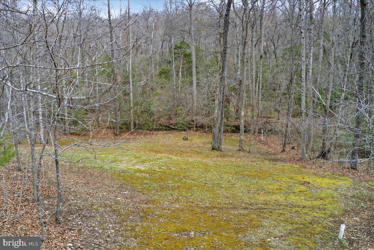 9521 Grasty Gold Mine Road Rhoadesville, VA 22542 - Photo 82 of 88